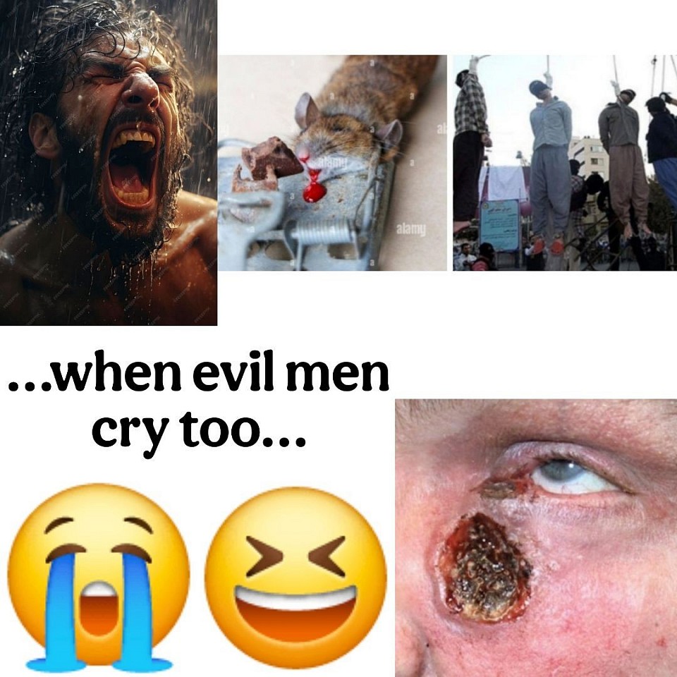 HA HA HA...DAMN YOU!!