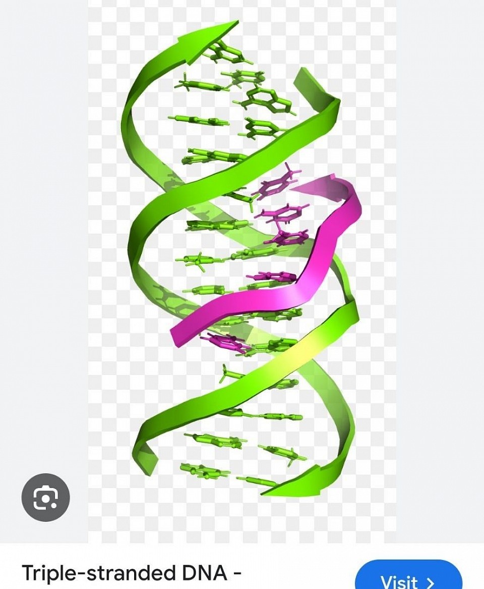 The Strandium X-1 Multiformulate Super DNA of Theslor Gods.