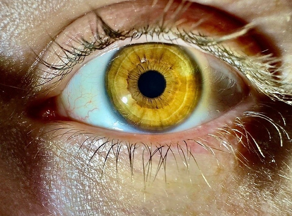 The yellowe eyes of The Yqvikk species who hail from the Costioverse in the star system of Graiyaj Galaxy